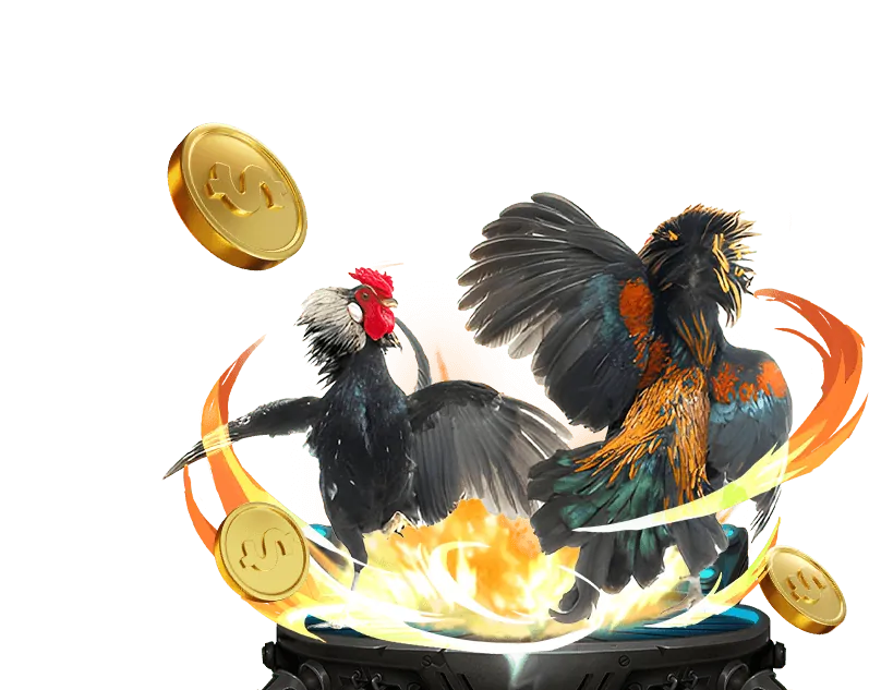 Bản đồ vị trí văn phòng Đá Gà Trực Tiếp 888